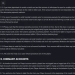 MateSlots terms section covering identity verification before a payout